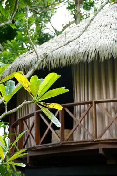 Beauty Huma Terra Scenaries